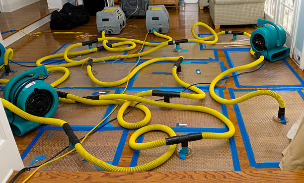 Professional Crawl Space Water Removal technician working in Pauma Valley, CA
